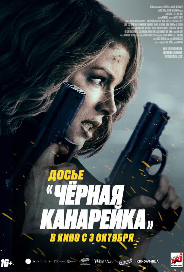 Фильм Досье «Чёрная канарейка» 2024 смотреть онлайн с Джазом Хатчинсом и Рупертом Френдом